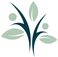 StaudenWelt Verkäufe